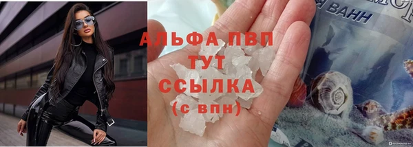 стаф Армянск