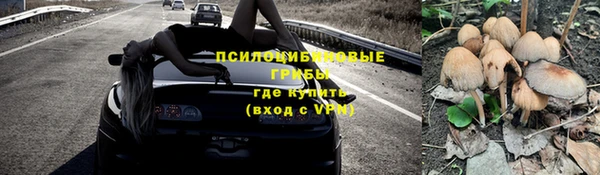 гидропоника Нея